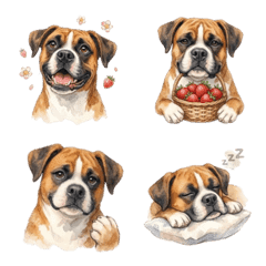 Adorable Boxer Cute Spring Daily Emoji