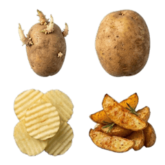 馬鈴薯真人表演