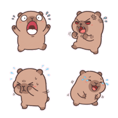 今天也要躺平的厭世卡皮巴拉