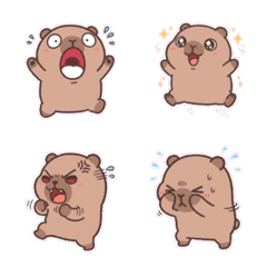 開心怪怪卡皮巴拉