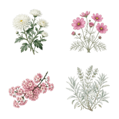 FLOWER &HERB