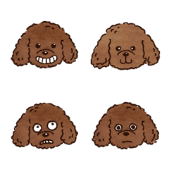Cute Brown Toy Poodle Emoji
