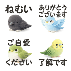 Lots of birds Polite language, greetings