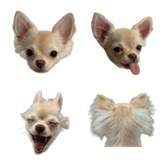 Maro Stickers