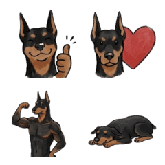 隨時都能用的杜賓犬表情符號