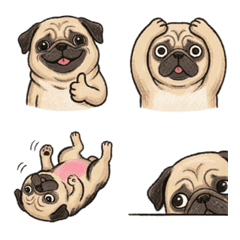 巴哥日常表情貼 1