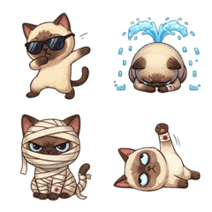 暹羅貓 2阿雜的生活小日常