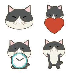 A Black-and-White Cat's Emoji