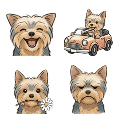 永遠都能用的約克夏貼圖