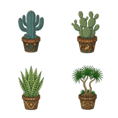 仙人掌・観葉植物