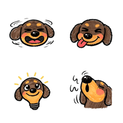 巧克力色臘腸犬