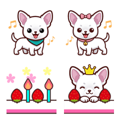 愛犬日記-チワワ-