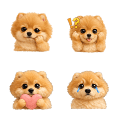 Cute dog:Pomeranian