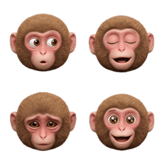 Baby monkey's expression