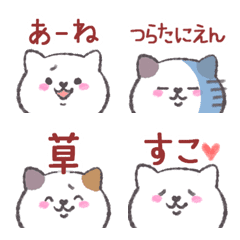 Chill Cat: Casual Daily Talk