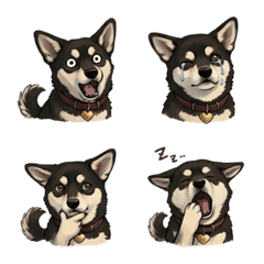 Daily Emojis of Ota, the Famous Dog