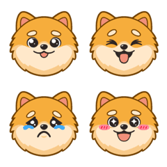 Cute Pomeranians(Orange)