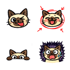 暹羅貓 活力十足