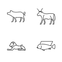 神祕學 - 埃及聖書體 動物