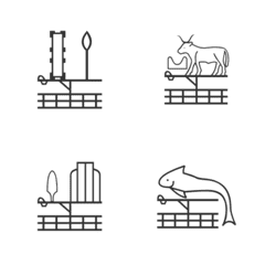 神祕學 - 埃及聖書體 桌子上