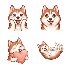 每日實用西伯利亞哈士奇 (紅)