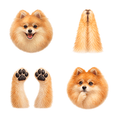 Mugi the Pomeranian Emoji