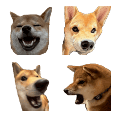 zun emoji