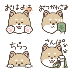 Shibaken emiji (akashiba)