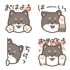 Shibaken emiji (kuroshiba)