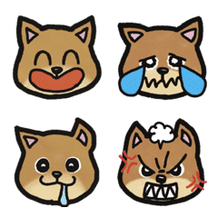The Many Moods of Shiba