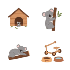 Eucalyptus Forest Koala