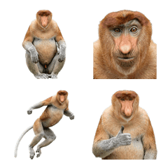 長鼻猴真人表演