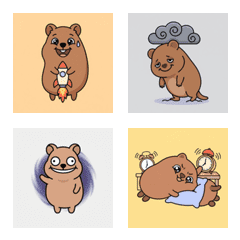 短尾矮袋鼠的漸變表情 ♪ AG 1