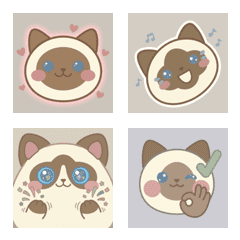 布偶貓的朦朧風 ♪ AG 1