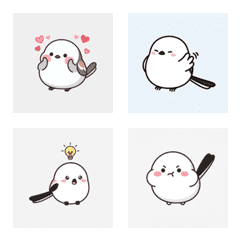 銀喉長尾山雀的清爽表情 AG 1