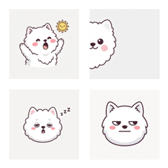 薩摩耶的清爽表情 ♪ AG 1