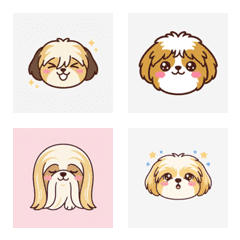 西施犬的清爽表情 ♪ AG 1