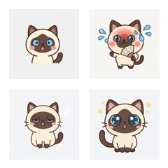 暹羅貓的清爽表情 ♪ AG 1