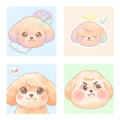 玩具貴賓的溫柔表情 ♪ AG 1