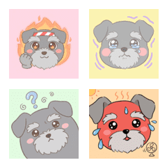 雪納瑞的軟萌臉 ♪ AG 1