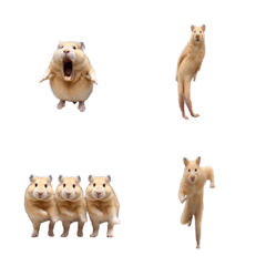 Animated Hamster Emoji