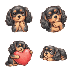 每天都能用的騎士小獵犬（黑褐色）