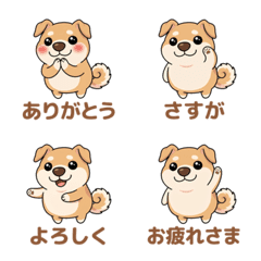 Cute Chubby Shiba Inu Greetings