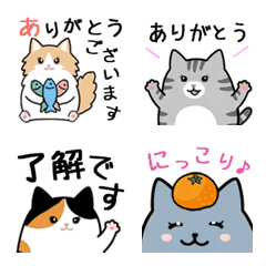 10ねこと過ごす♡大人女子の日常トーク