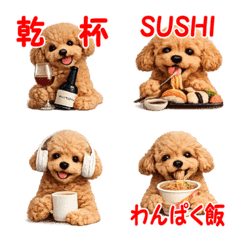 A gluttonous dog: Toy Poodle edition