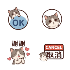 萌貓實用日常與辦公(動態表情貼)
