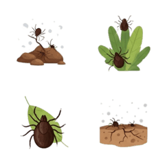 Nature's Little Crawlers