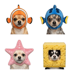 《吉娃娃》可愛頭套表情貼 - 海洋生物