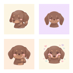 臘腸犬的暖呼呼 ♪ 1