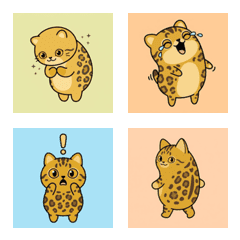 孟加拉貓的心情 ♪ 1